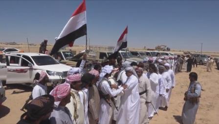 مواجهات مسلحة بين رجال القبائل وقوات سعودية في محافظة جنوبية