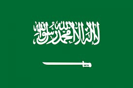 السعودية توجه الى مجلس الأمن طلبا رسميا مهما وخطيرا هو الأول