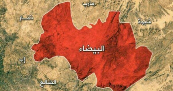 الحوثيون يقعون في ”فخ محكم“ لقوات ”الشرعية“ في ”البيضاء“