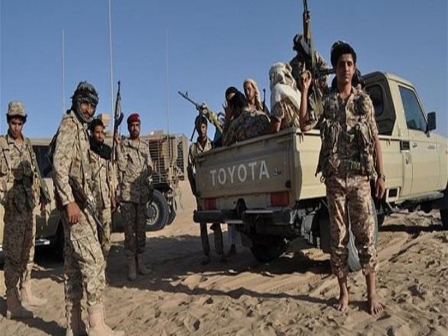 قوات الجيش تباغت «الحوثيين» بهجوم مفاجئ بمهاشمة«الجـوف»