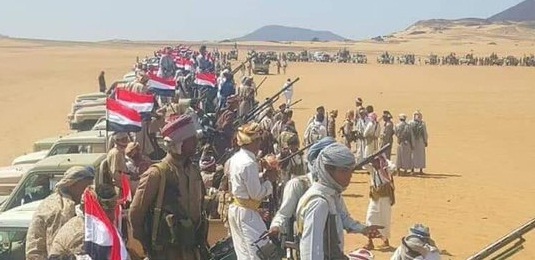اليمن أخبار اليمن: 65