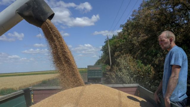 أوكرانيا: أكثر من 90 ألف طن من القمح في طريقها إلى إثيوبيا واليمن