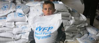 الغذاء العالمي يعلن بدء توزيع المساعدات الغذائية للنازحين في محافظة مأرب