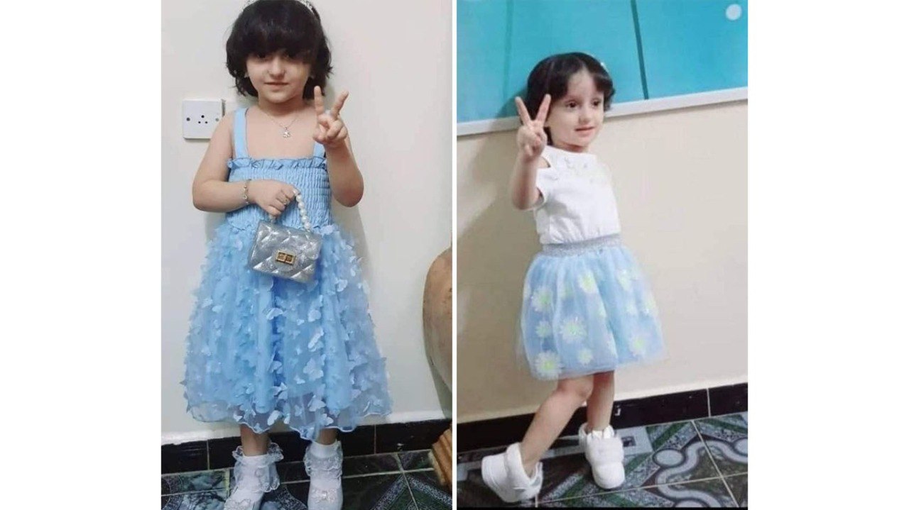 محكمة المنصورة تصدر حكمها النهائي بحق قاتل الطفلة حنين