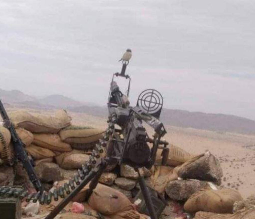 القوات المشتركة تهاجم مواقع مليشيا الحوثي غرب تعز