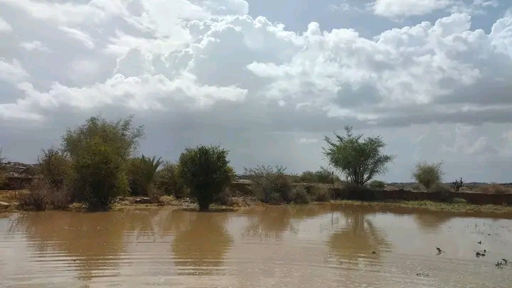 حادثة مأساوية في اليمن.. الطفل مات غرقا أمام أعين أمه ثم لحقت به مصابة بسكتة قلبية